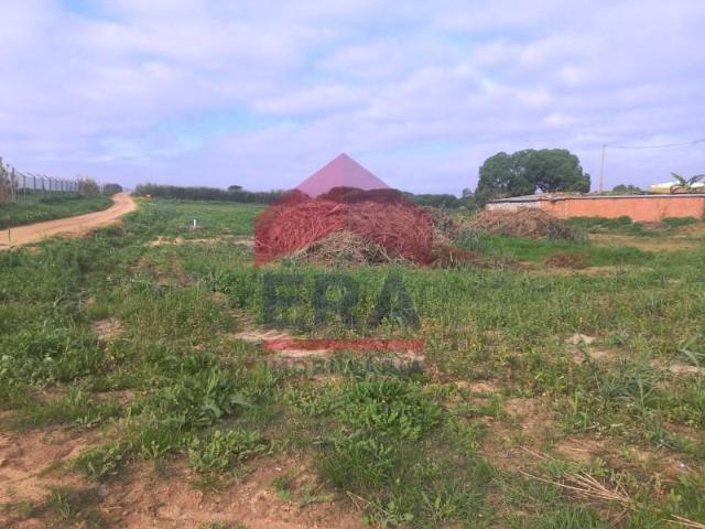 Terreno venda em Peniche, Leiria