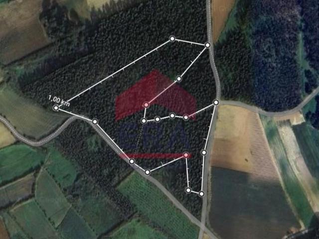 Terreno venda em Peniche, Leiria