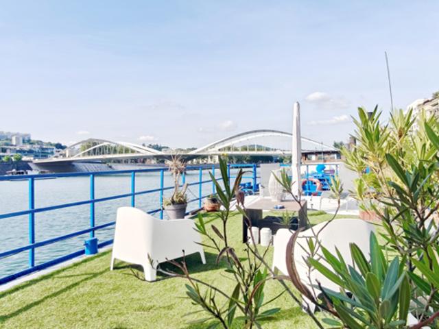 Maison vente à Lyon, Métropole de Lyon