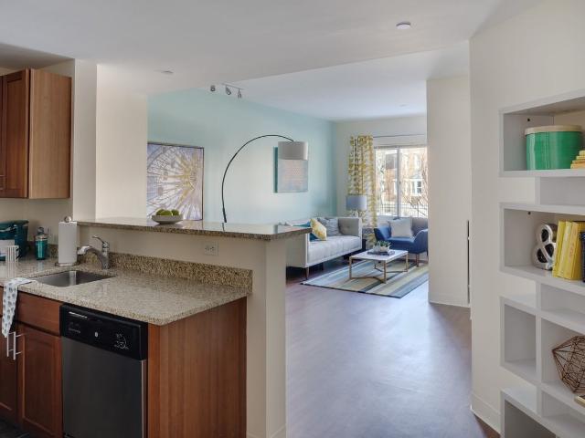 Apartment for rent in Dorchester, Boston