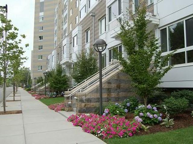 Apartment for rent in Dorchester, Boston