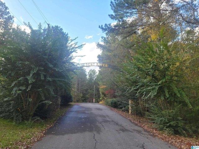 Land for sale in Wedowee, Alabama