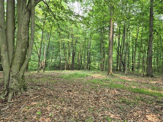 Land for sale in Mercer, Pennsylvania