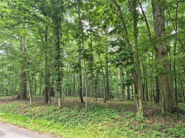 Land for sale in Crawford, Pennsylvania