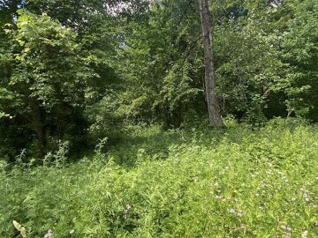 Land for sale in Stow, Massachusetts