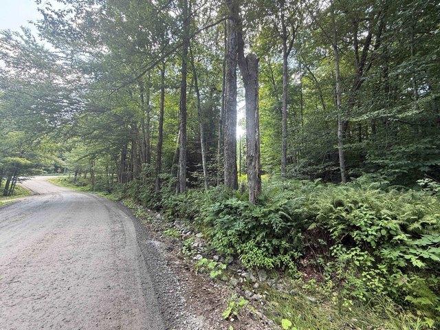Land for sale in Stratton, Windham County