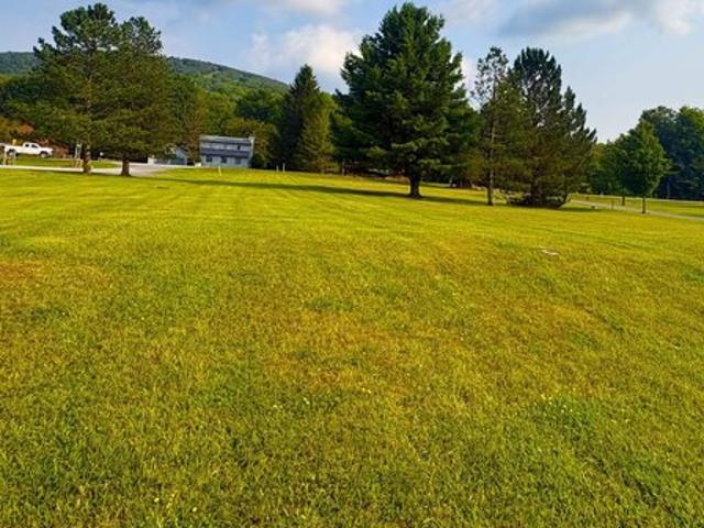 Land for sale in Davis, West Virginia