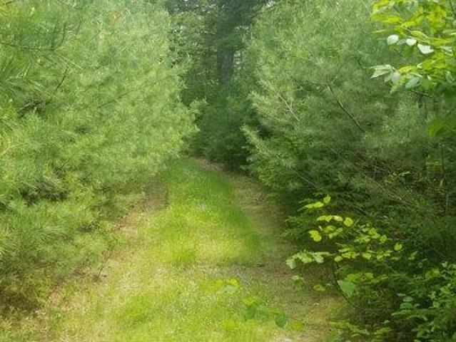 Land for sale in Penobscot, Maine