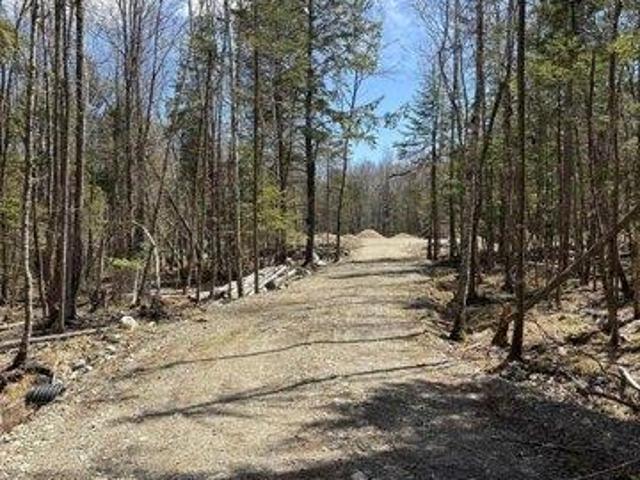 Land for sale in Penobscot, Maine