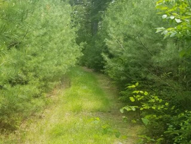 Land for sale in Penobscot, Maine
