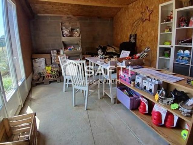 Local Commercial vente à Château-Gontier, Brains-sur-les-marches