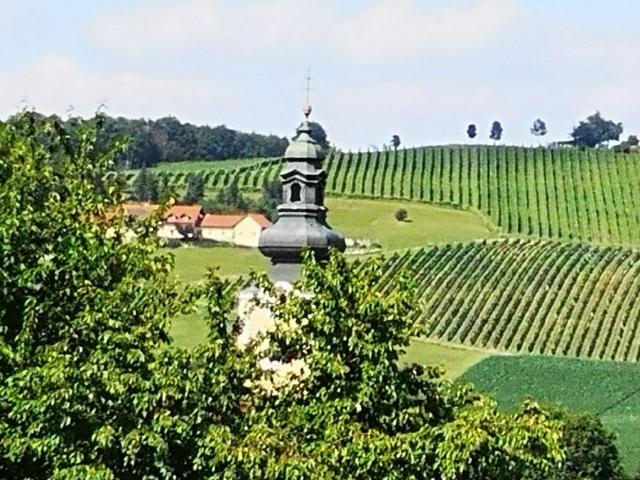 Gewerbe mieten in Bad Waltersdorf, Bezirk Hartberg-Fürstenfeld