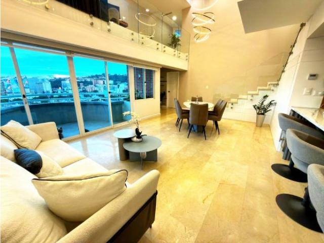 Penthouse en venta en Miranda, Municipio Miranda