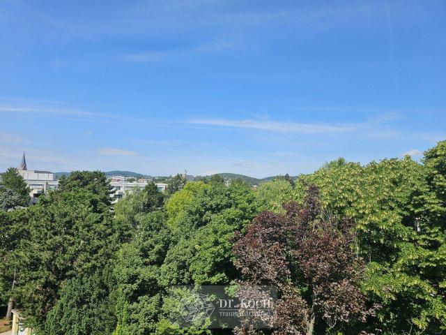 Apartment kaufen in Währing, Wien
