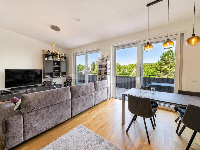 Apartment kaufen in Klagenfurt, Kärnten