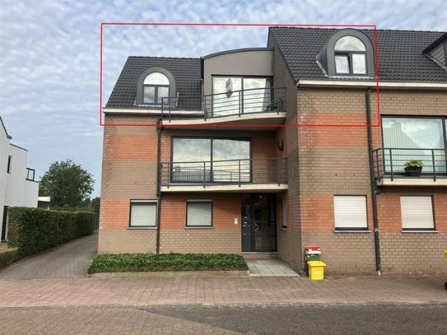 Appartement location à Vosselaar