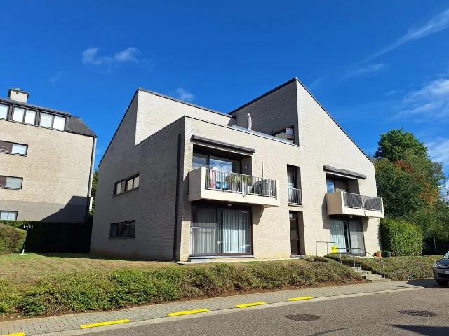 Maison location à Beringen, Limburg