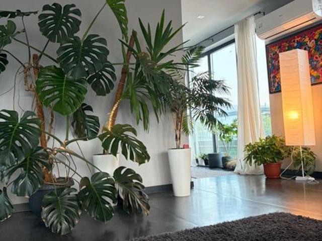 Apartament închirieri în Mărăști, Cluj-Napoca