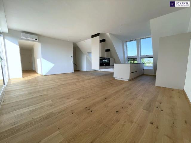 Apartment mieten in Floridsdorf, Wien