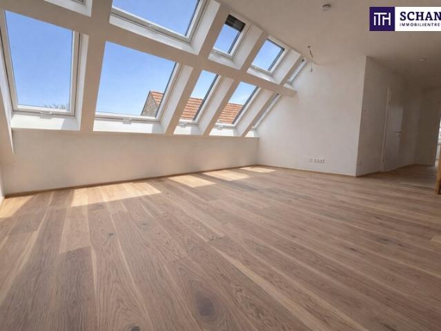 Dachgeschosswohnung kaufen in Traiskirchen, Niederösterreich