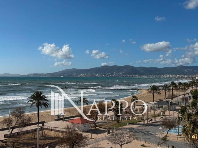 Casa en alquiler en es Coll d'en Rabassa, Palma