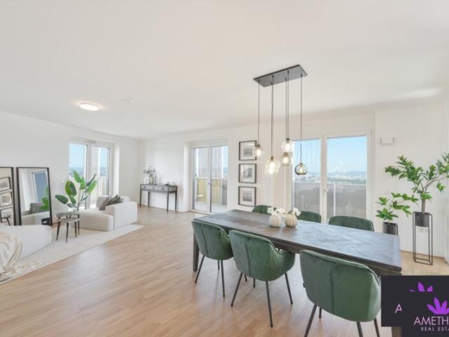 Penthouse kaufen in Wien