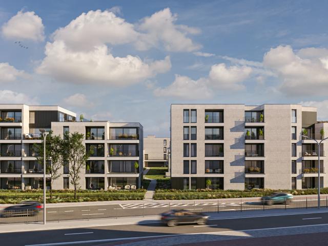 Penthouse vente à Maasmechelen, Limburg