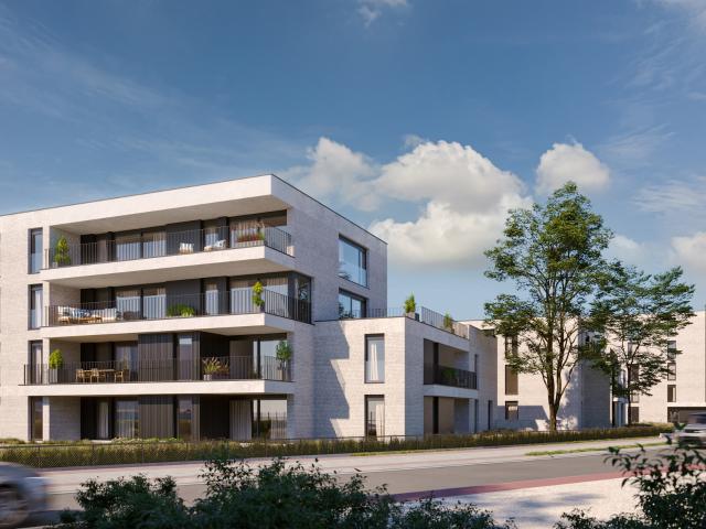 Penthouse vente à Maasmechelen, Limburg