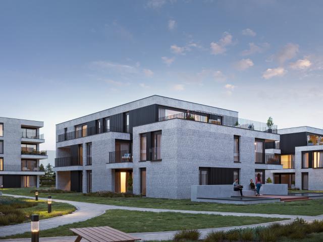 Penthouse vente à Maasmechelen, Limburg