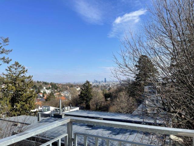 Apartment kaufen in Döbling, Wien