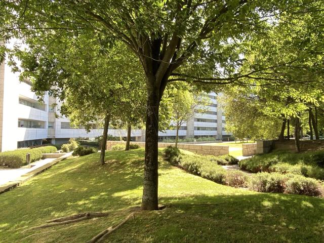 Apartamento venda em Porto