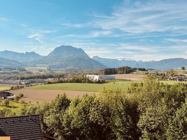 Wohnung kaufen in Ohlsdorf, Oberösterreich