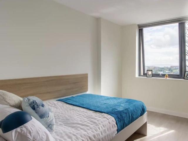 Studio for rent in Lansdowne, Springbourne