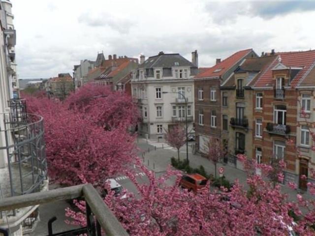 Appartement location à Schaarbeek, Bruxelles