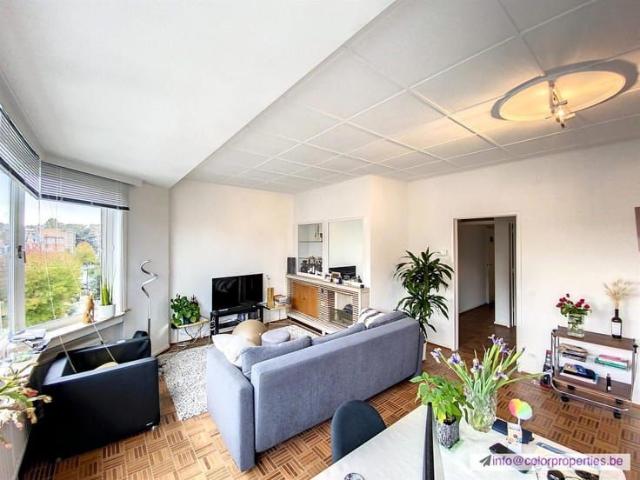Appartement location à Sint-lambrechts-woluwe, Bruxelles