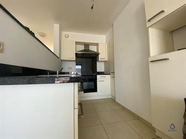 Appartement location à Mere, Oost-Vlaanderen