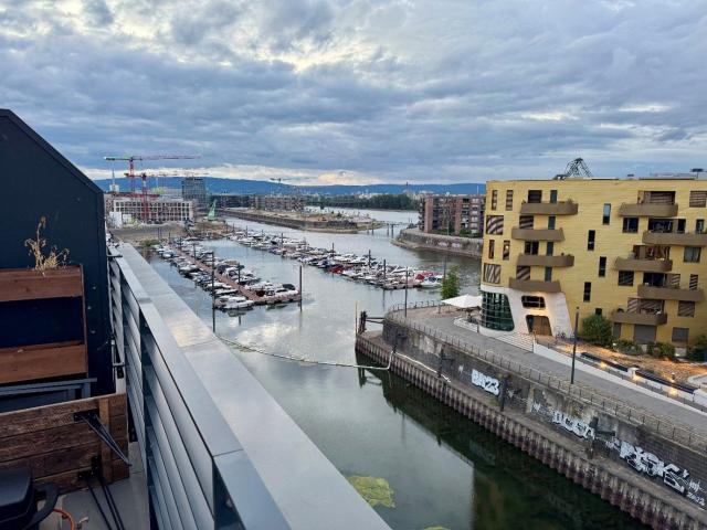 Apartment mieten in Mainz, Rheinland-Pfalz
