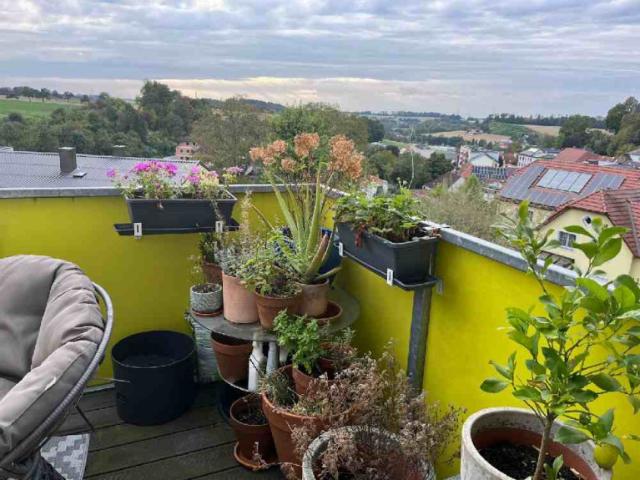 Etagenwohnung mieten in Haag