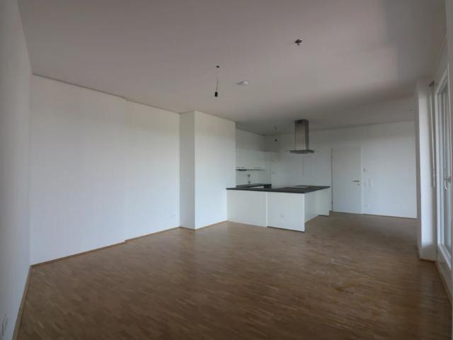 Apartment mieten in Liebenau, Gersdorf-Feistritz