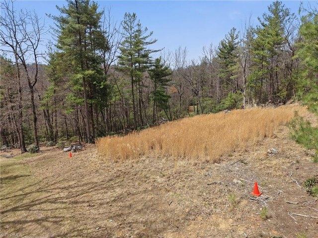 Land for sale in Purlear, North Carolina