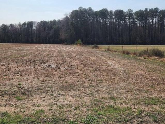 Land for sale in Delaware