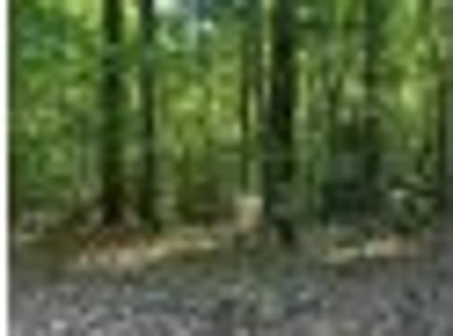 Land for sale in Transylvania, North Carolina