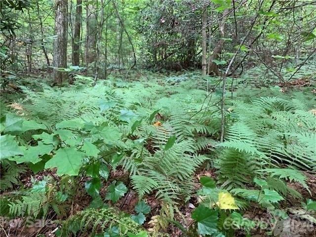 Land for sale in Transylvania, North Carolina
