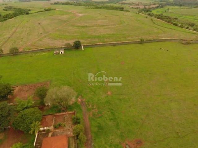Sítio e chácara venda em Região Imediata de São José do Rio Preto, Região Metropolitana de São José do Rio Preto