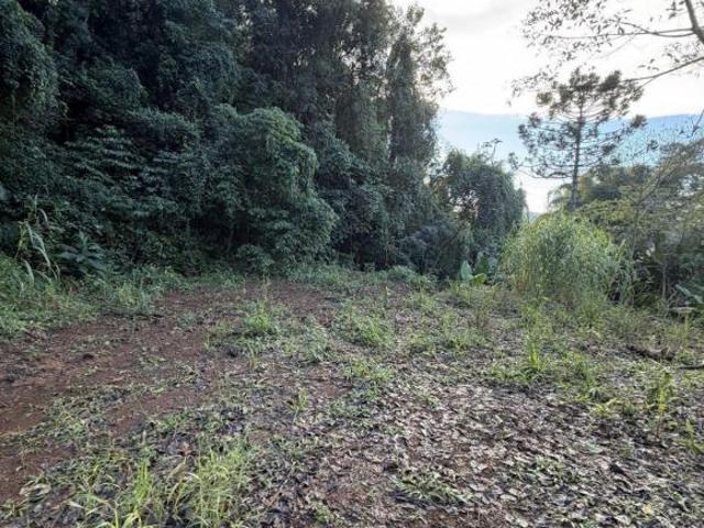 Sítio e chácara venda em Região Geográfica Imediata de Novo Hamburgo - São Leopoldo, Região Metropolitana de Porto Alegre