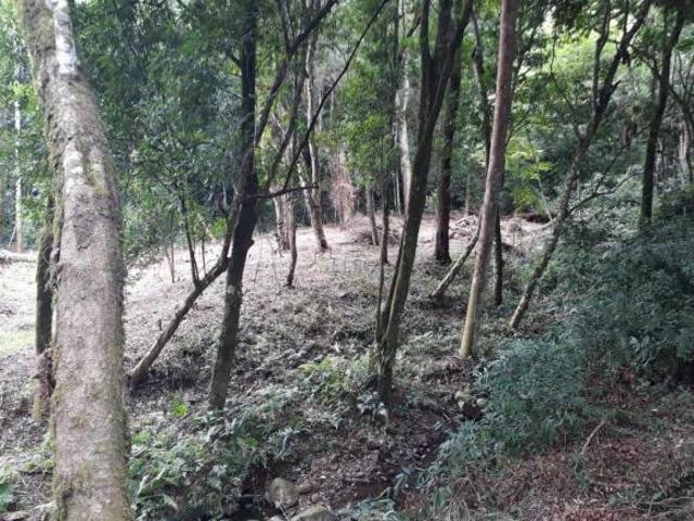 Sítio e chácara venda em Região Geográfica Imediata de Novo Hamburgo - São Leopoldo, Região Metropolitana de Porto Alegre