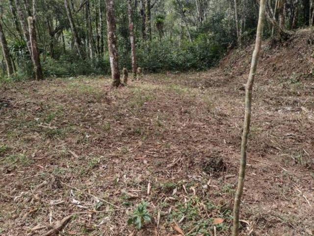 Sítio e chácara venda em Região Imediata de São Paulo, Região Metropolitana de São Paulo