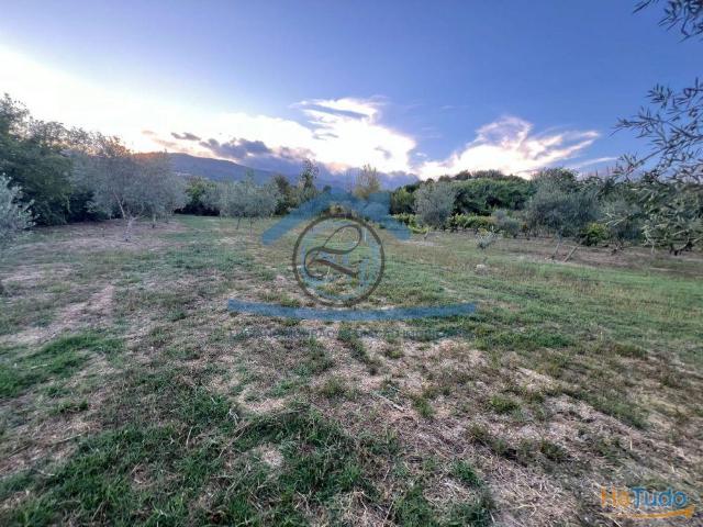 Terreno venda em Vila Real