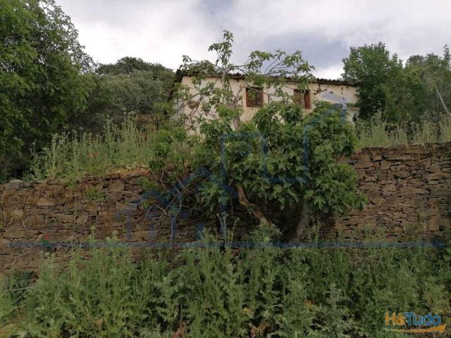 Quinta venda em Torre De Moncorvo, Bragança