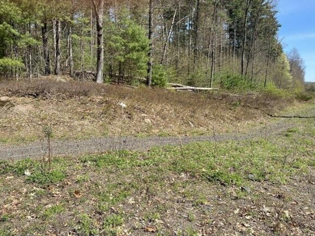 Land for sale in Southampton, Massachusetts